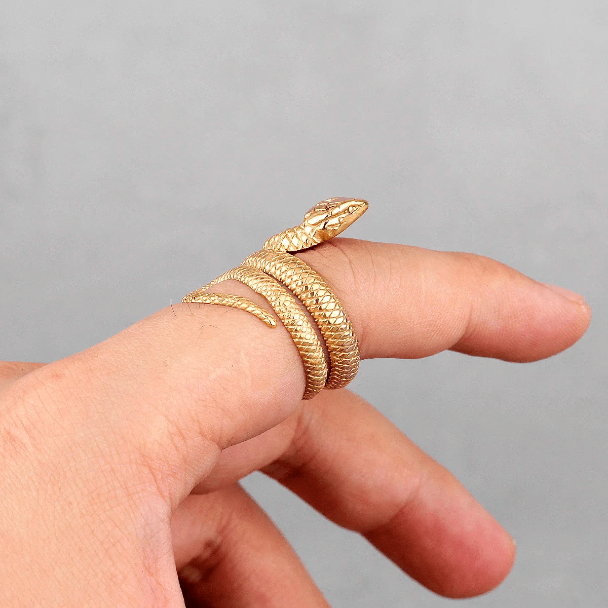 Winding Snake Steel Ring - Chrome Cult