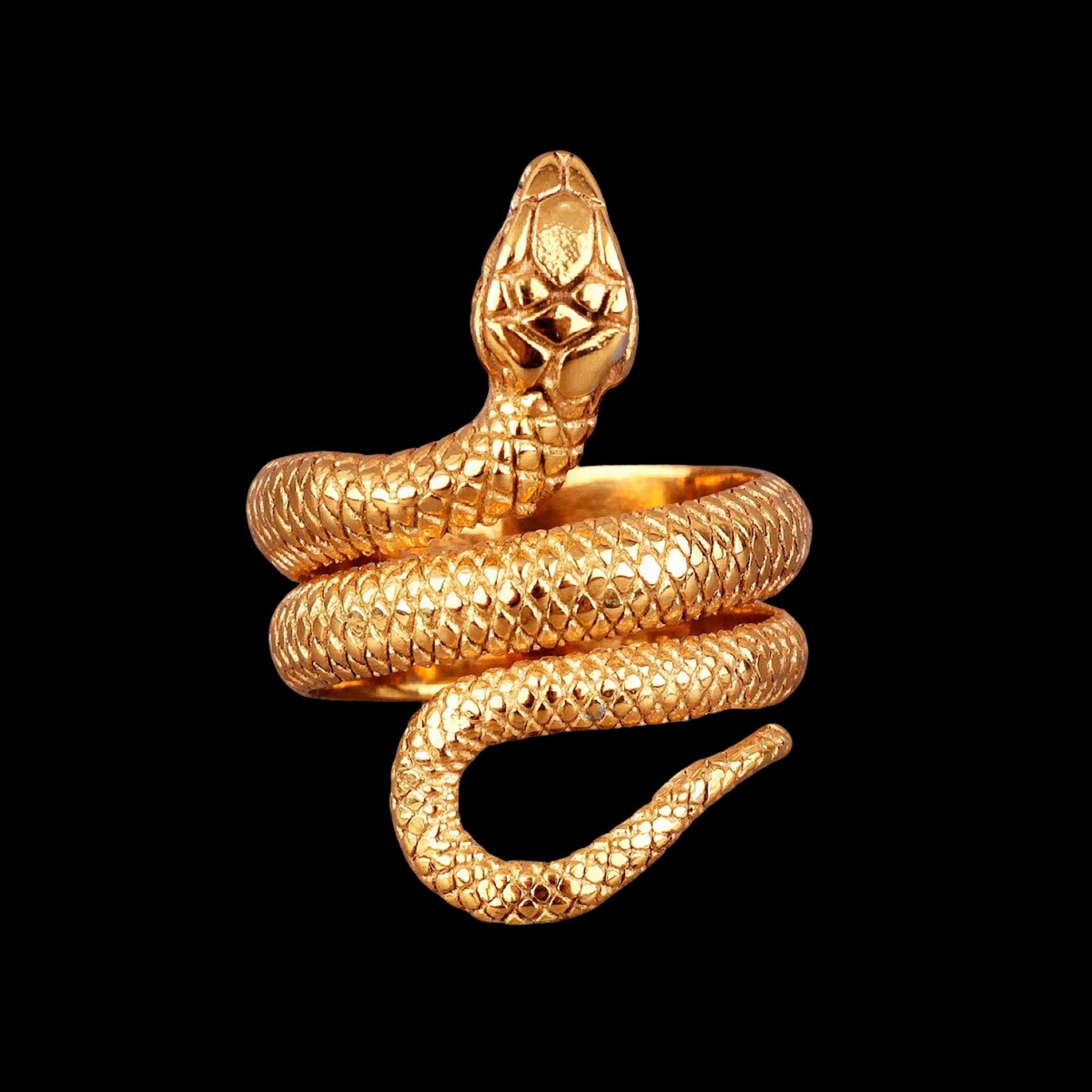 Winding Snake Steel Ring - Chrome Cult