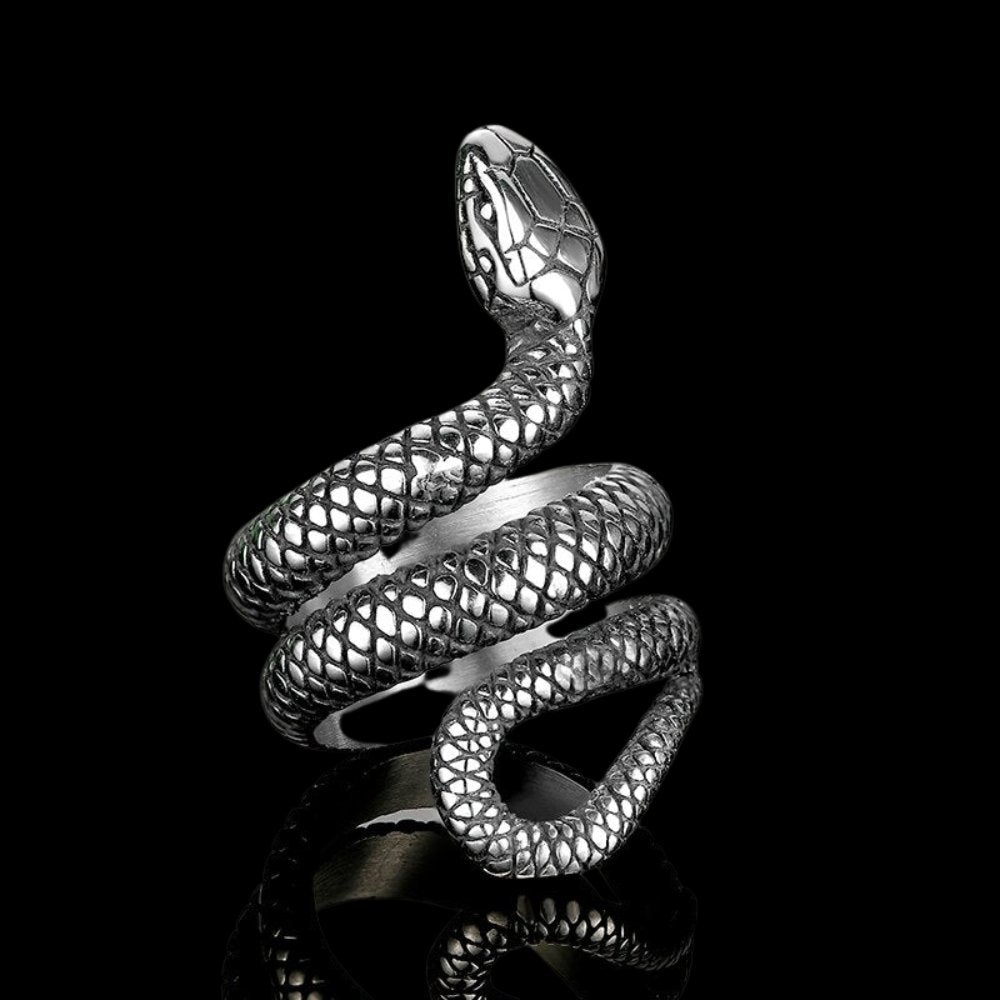 Winding Snake Steel Ring - Chrome Cult