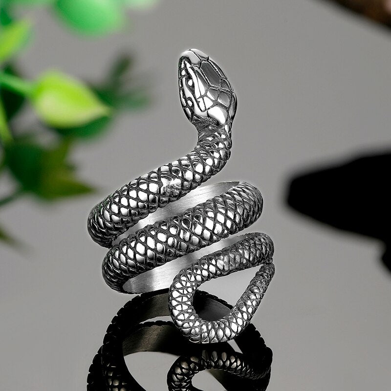 Winding Snake Steel Ring - Chrome Cult